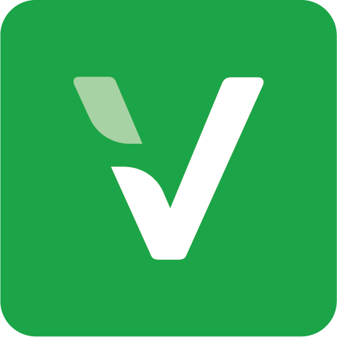 V logo